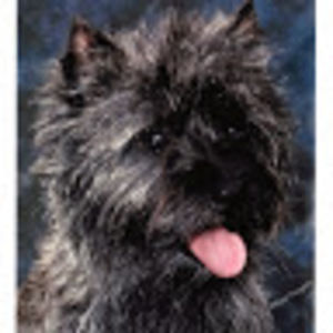 Meet your Posher, Angie